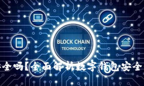 放数字钱包安全吗？全面解析数字钱包安全性与使用风险