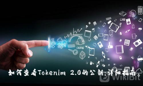 如何查看Tokenim 2.0的公钥：详细指南