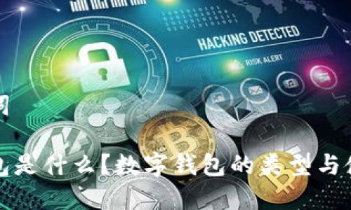 和关键词

数字钱包是什么？数字钱包的类型与使用指南