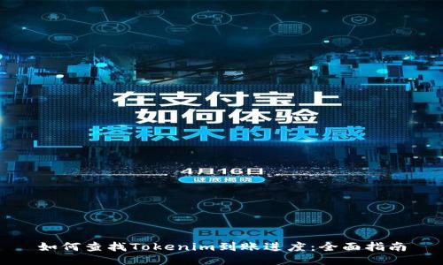 如何查找Tokenim到账进度：全面指南