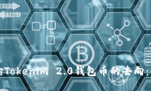 如何查询Tokenim 2.0钱包币的去向：全面指南