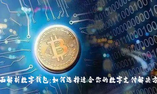 全面解析数字钱包：如何选择适合你的数字支付解决方案