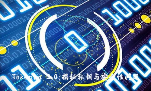 Tokenim 2.0：揭秘私钥与安全性问题