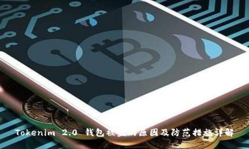 Tokenim 2.0 钱包被盗的原因及防范措施详解