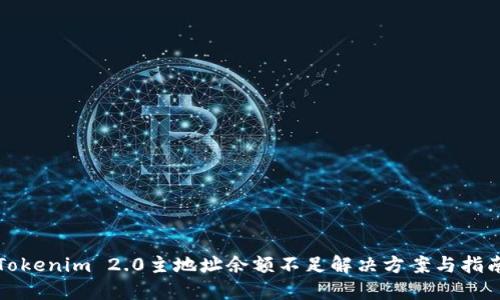 Tokenim 2.0主地址余额不足解决方案与指南