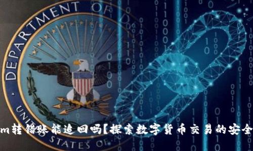 Tokenim转错账能追回吗？探索数字货币交易的安全与风险