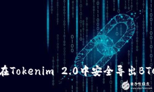 如何在Tokenim 2.0中安全导出BTC私钥