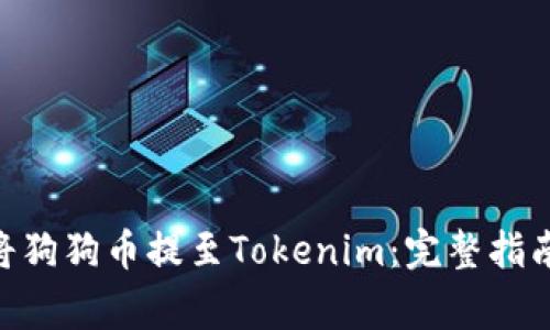 bidiao如何将狗狗币提至Tokenim：完整指南与注意事项