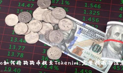 bidiao如何将狗狗币提至Tokenim：完整指南与注意事项