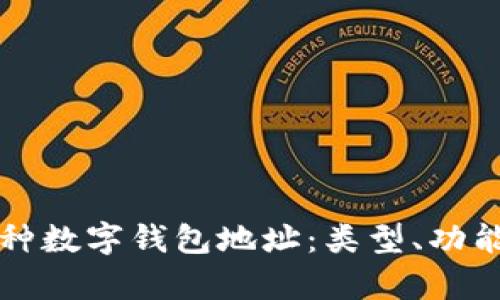 全面解析各种数字钱包地址：类型、功能及使用指南