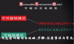 数字钱包密码解锁全攻略：步骤、注意事项与常