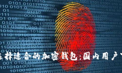 : 如何选择适合的加密钱包：国内用户下载指南