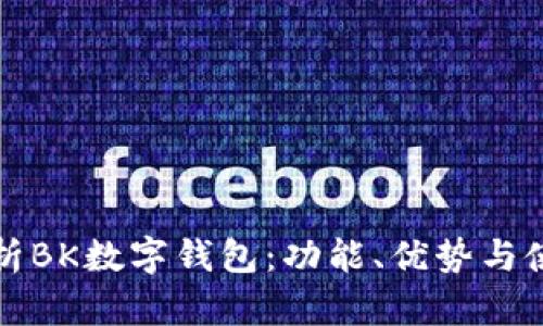 全面解析BK数字钱包：功能、优势与使用指南