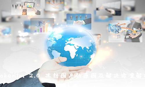 Tokenim 2.0 冻结图片的原因及解决方案解析