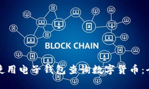 如何有效使用电子钱包查询数字货币：全方位指南