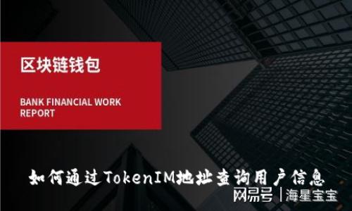 如何通过TokenIM地址查询用户信息