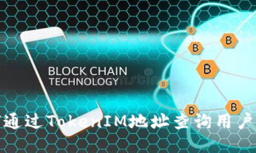 如何通过TokenIM地址查询用户信息