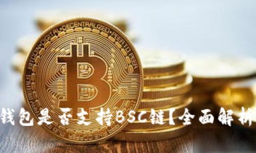 CoinStats钱包是否支持BSC链？全面解析及使用指南