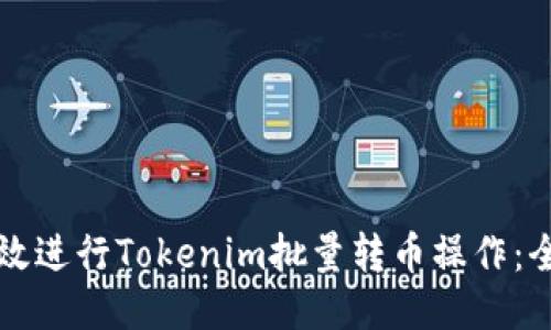 如何高效进行Tokenim批量转币操作：全面指南