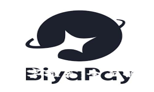 2023年印尼必买数字推荐：全面解析选择与使用技巧